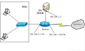 計算機網(wǎng)絡(luò)練習(xí)十一 應(yīng)用層服務(wù)與協(xié)議