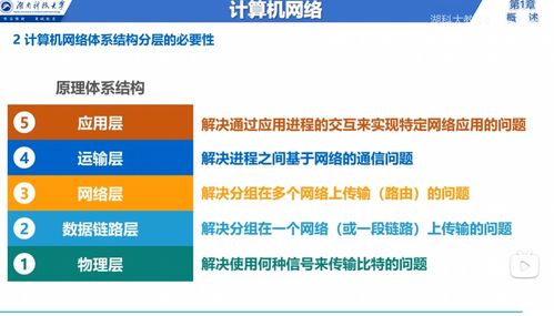計(jì)算機(jī)網(wǎng)絡(luò) 連接世界的數(shù)字動(dòng)脈